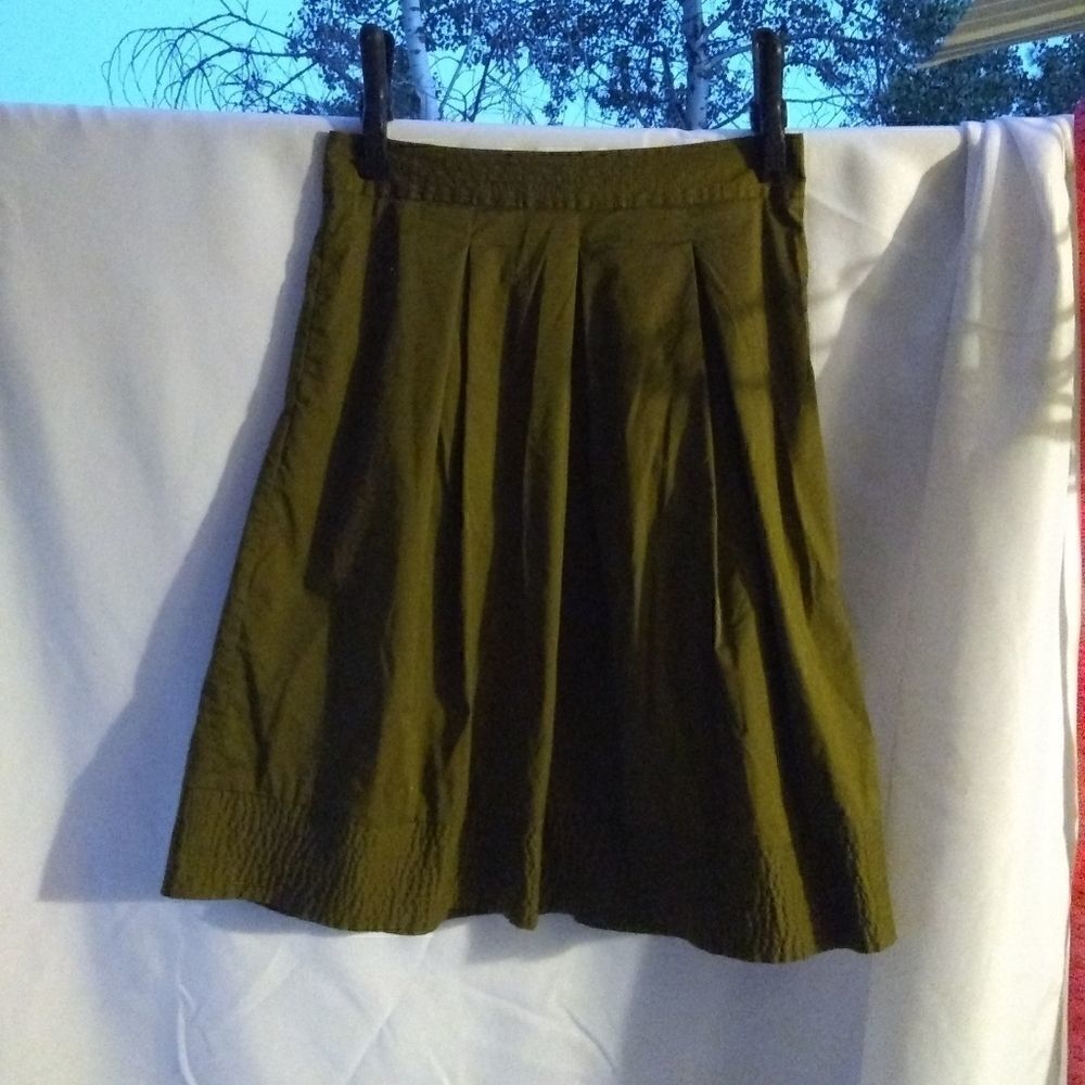 Ann Taylor skirt